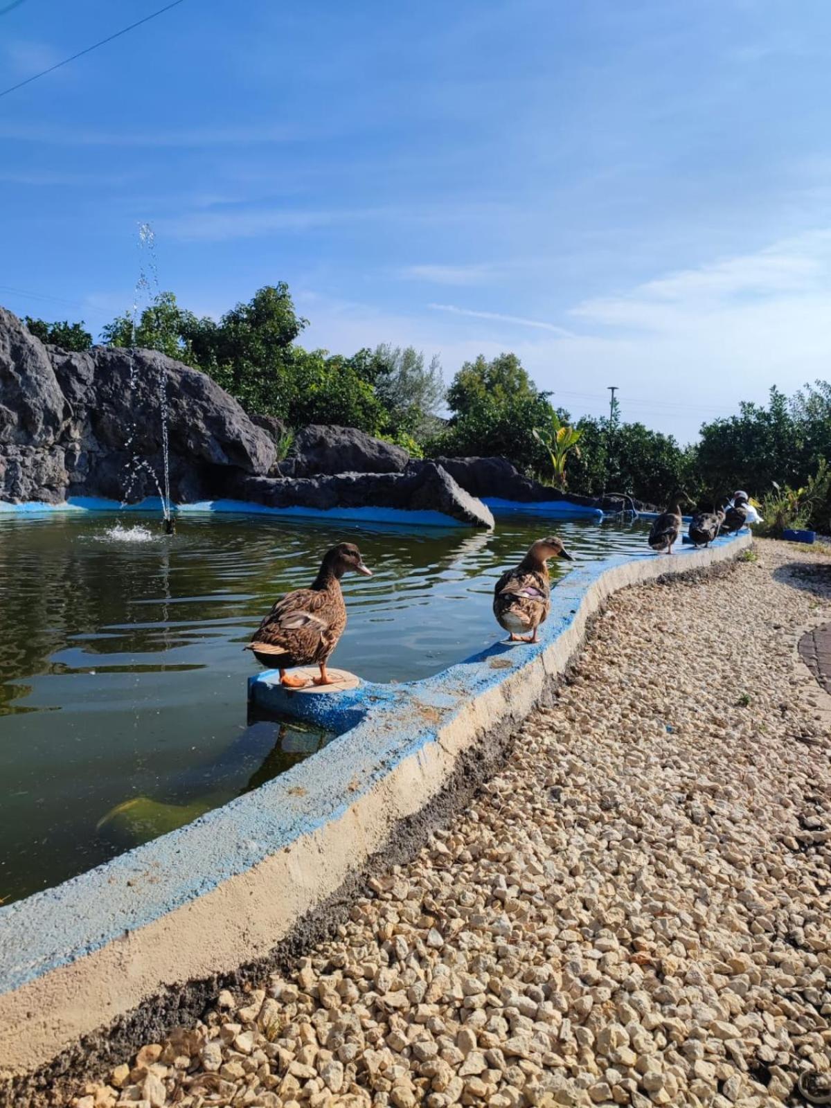 Don Vittorio Country Village Trappitello Εξωτερικό φωτογραφία